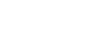 zignify Logo